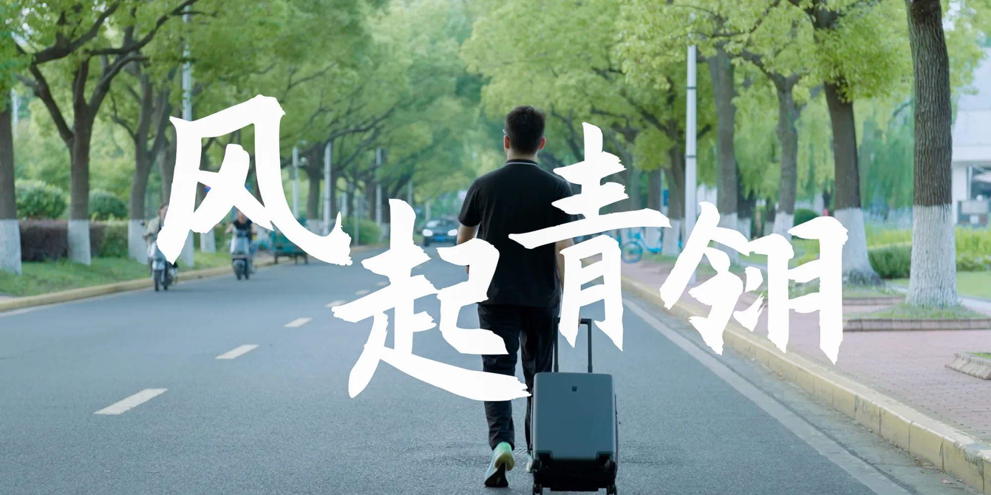 风起青翎 (Feathers in the Wind)