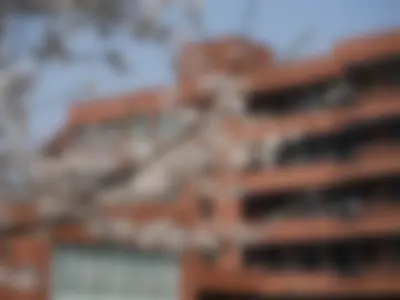 Sakura (cherry blossom) in the campus of Shanghai Jiao Tong University, with a building in the background